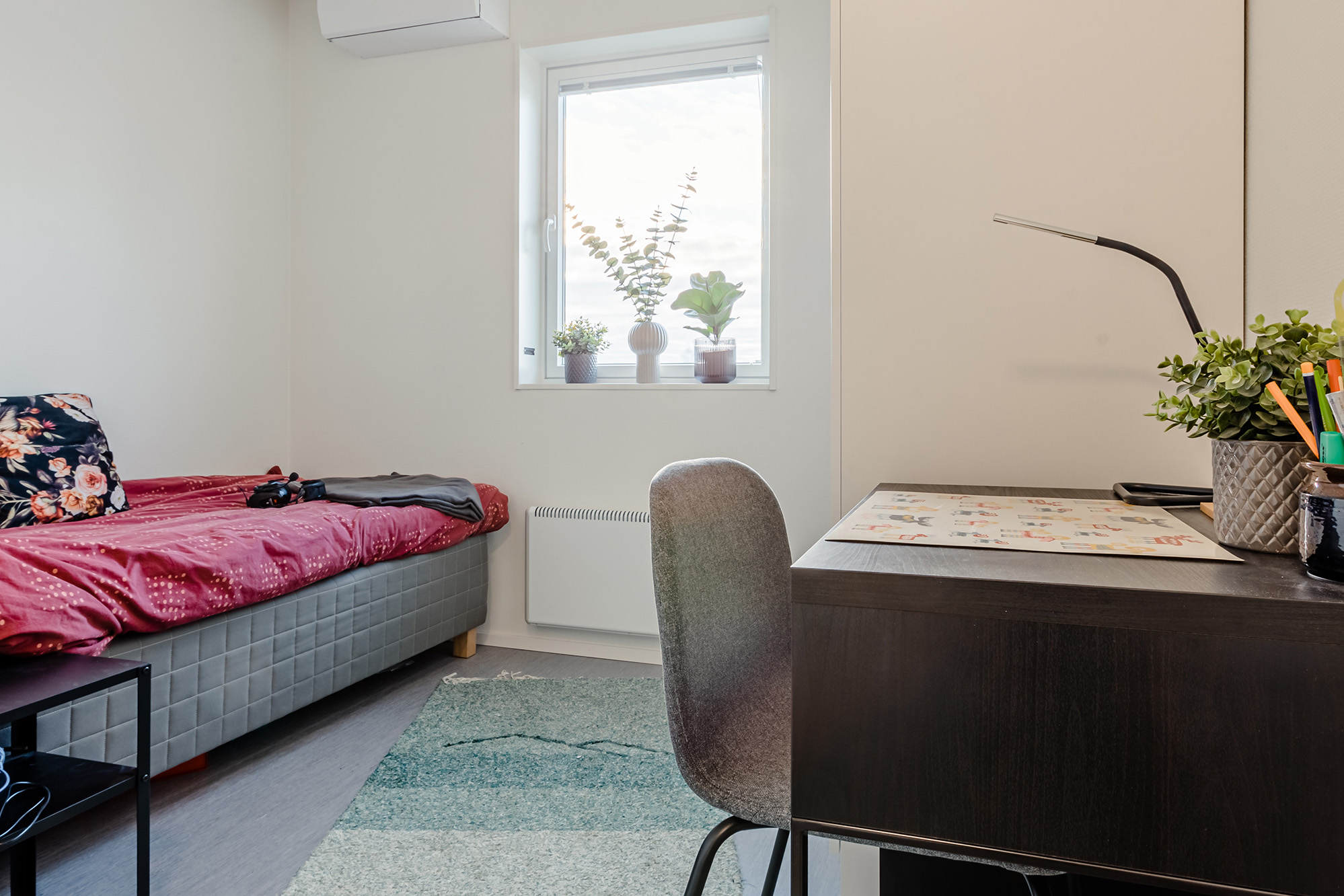 Elevrum med säng, studieplats och dagsljus i korridorsboende